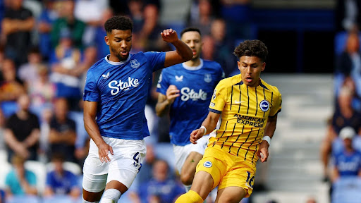 Premier League 2024: Brighton & Hove Albion Impress Under Fabian Huerzler with 3-0 Win Over Everton